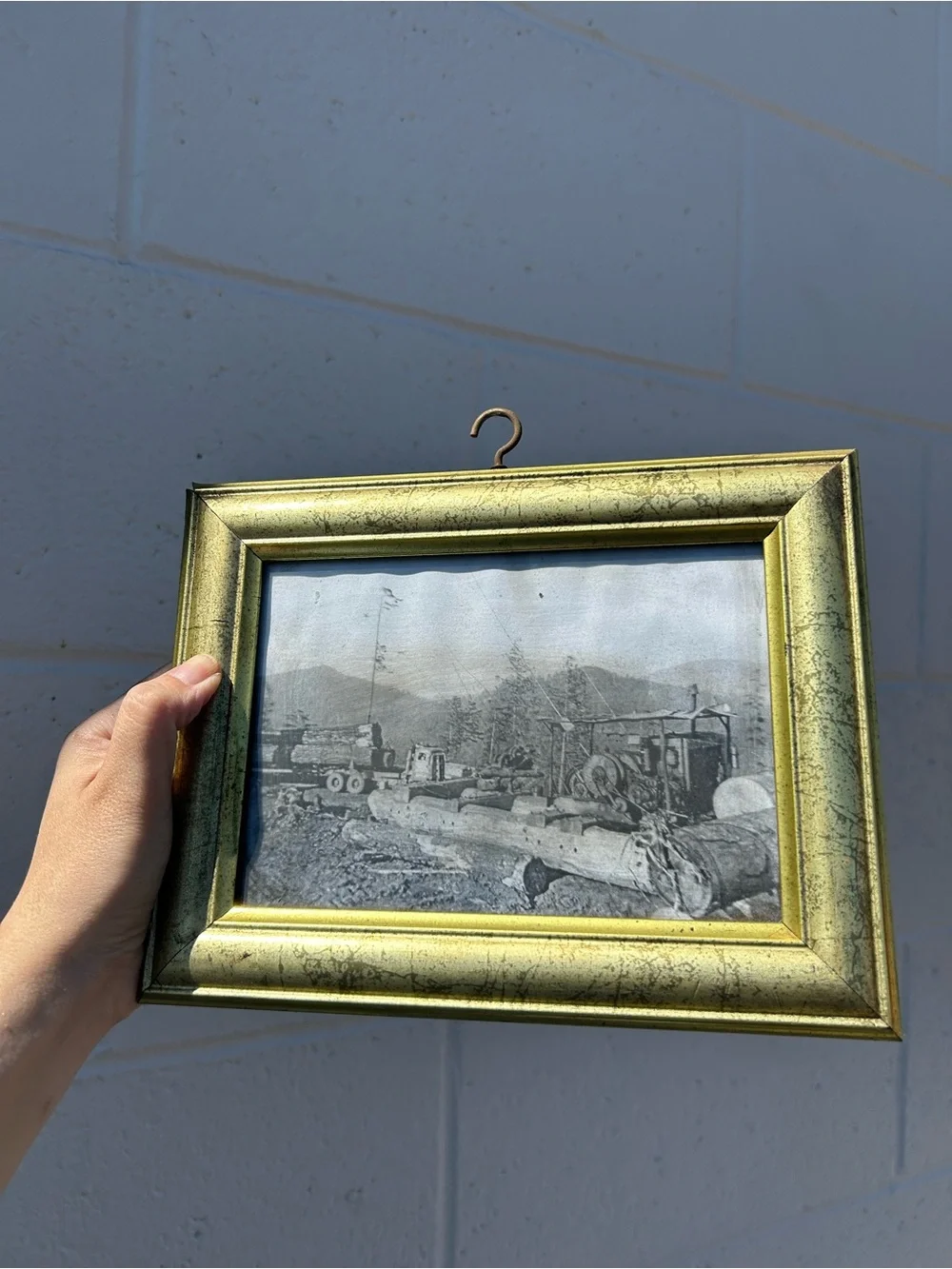Small Gold Vintage Hanging Picture Frame wall art decor